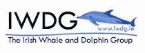 Bill & IWDG.2016