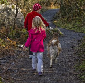 Burren Nature Sanctuary, The Burren, Kinvara, County Galway, Ireland