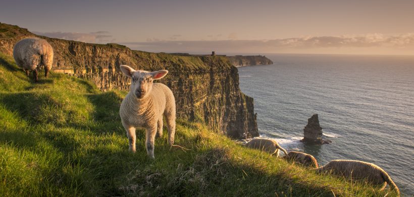 cliffs of moher visitor experience visit the burren