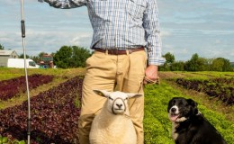 Gleninagh Lamb 12th Sept