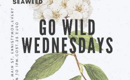 Go Wild Wednesdays