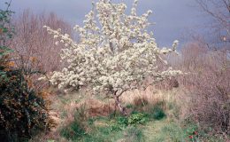 REllis photo (1)
