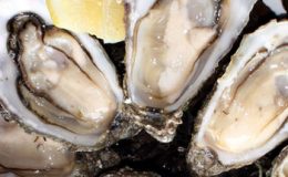oysters Food Trail Event
